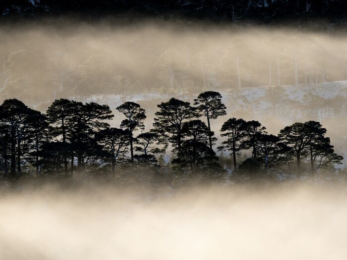81 Pics That Turn Familiar Terrain Surreal From The Natural Landscape Photography Awards 2026 81 Pics That Turn Familiar Terrain Surreal From The Natural Landscape Photography Awards 2026
