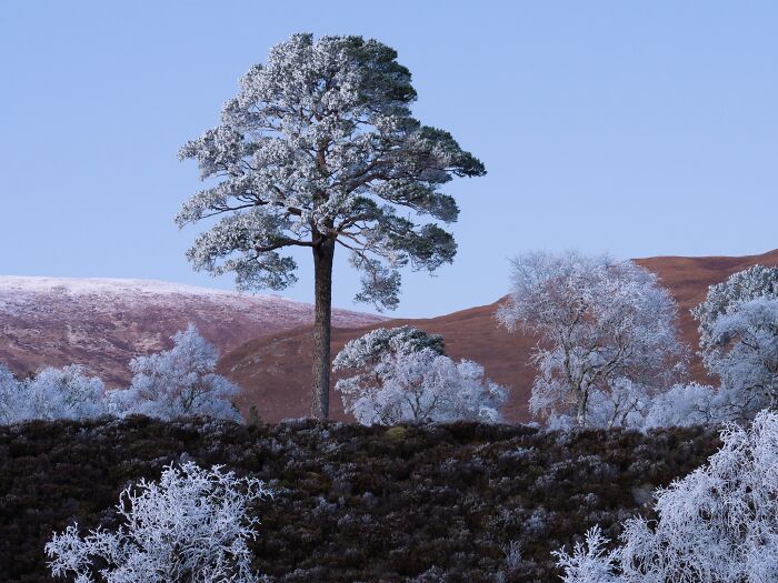 81 Pics That Turn Familiar Terrain Surreal From The Natural Landscape Photography Awards 2026 81 Pics That Turn Familiar Terrain Surreal From The Natural Landscape Photography Awards 2026
