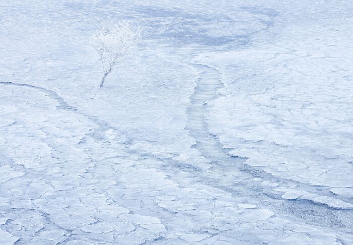 81 Pics That Turn Familiar Terrain Surreal From The Natural Landscape Photography Awards 2026 81 Pics That Turn Familiar Terrain Surreal From The Natural Landscape Photography Awards 2026