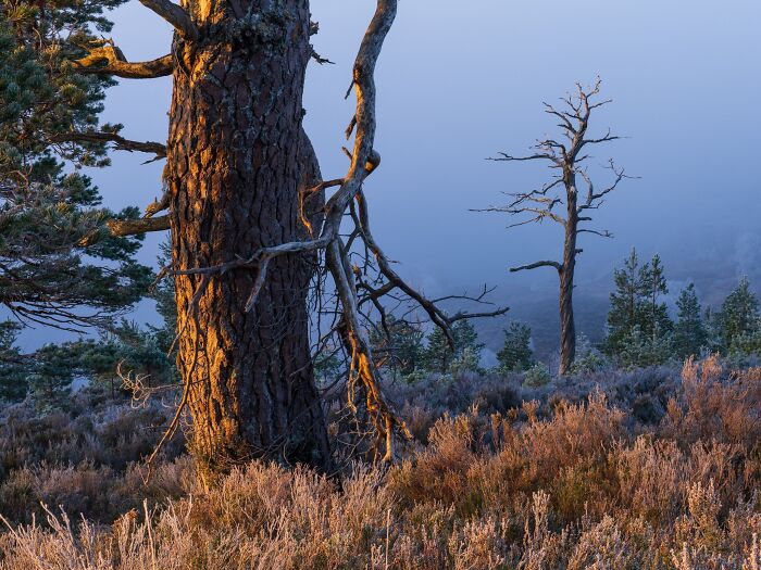 81 Pics That Turn Familiar Terrain Surreal From The Natural Landscape Photography Awards 2026 81 Pics That Turn Familiar Terrain Surreal From The Natural Landscape Photography Awards 2026