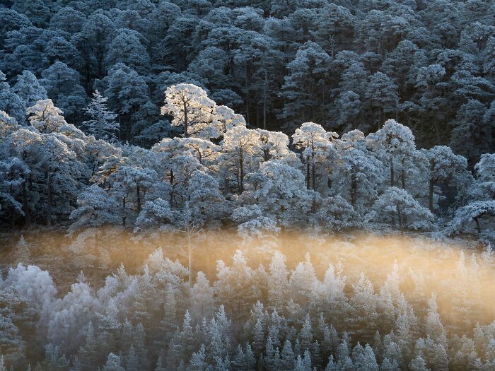 81 Pics That Turn Familiar Terrain Surreal From The Natural Landscape Photography Awards 2026 81 Pics That Turn Familiar Terrain Surreal From The Natural Landscape Photography Awards 2026