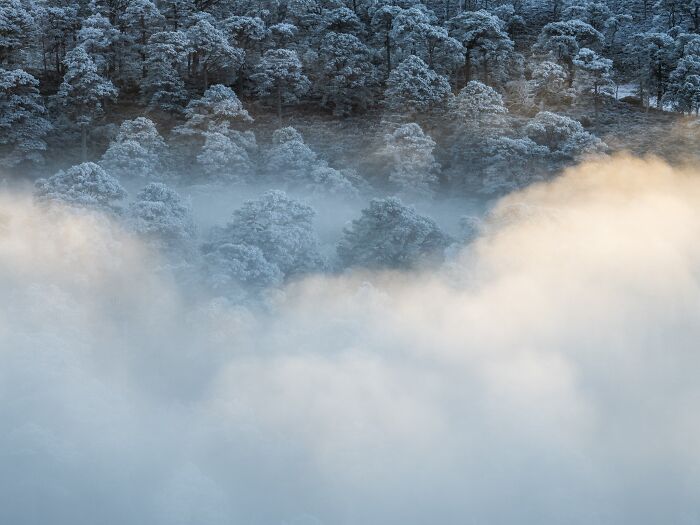 81 Pics That Turn Familiar Terrain Surreal From The Natural Landscape Photography Awards 2026 81 Pics That Turn Familiar Terrain Surreal From The Natural Landscape Photography Awards 2026