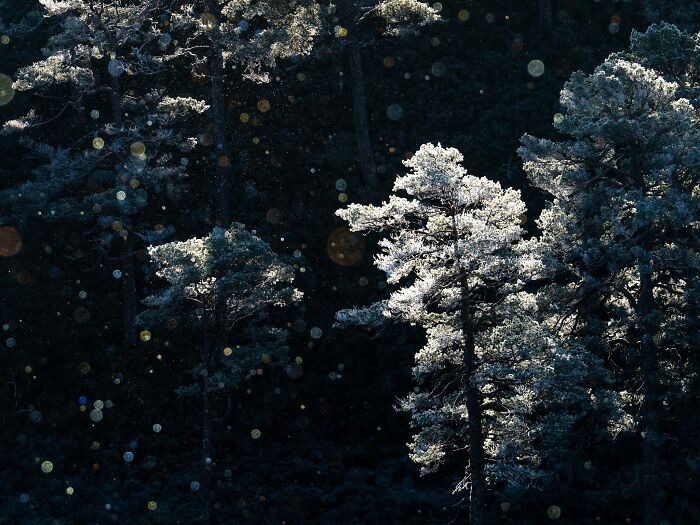 81 Pics That Turn Familiar Terrain Surreal From The Natural Landscape Photography Awards 2026 81 Pics That Turn Familiar Terrain Surreal From The Natural Landscape Photography Awards 2026