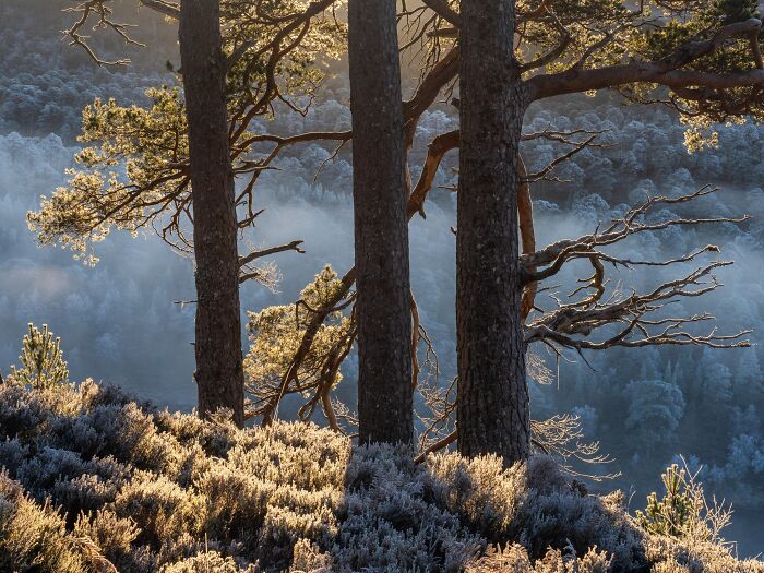 81 Pics That Turn Familiar Terrain Surreal From The Natural Landscape Photography Awards 2026 81 Pics That Turn Familiar Terrain Surreal From The Natural Landscape Photography Awards 2026