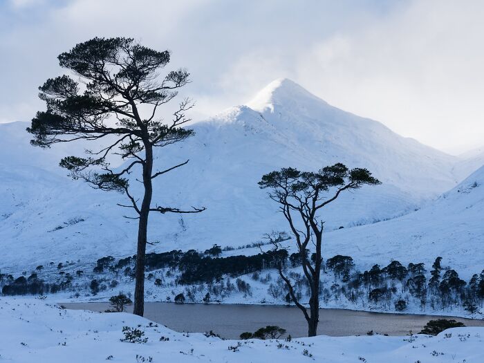 81 Pics That Turn Familiar Terrain Surreal From The Natural Landscape Photography Awards 2026 81 Pics That Turn Familiar Terrain Surreal From The Natural Landscape Photography Awards 2026