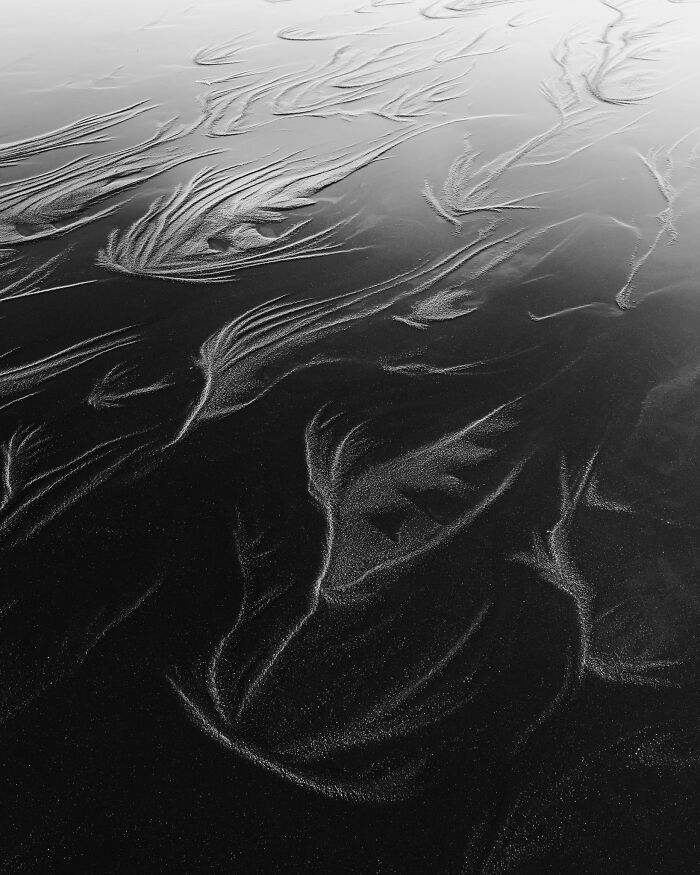 81 Pics That Turn Familiar Terrain Surreal From The Natural Landscape Photography Awards 2026 81 Pics That Turn Familiar Terrain Surreal From The Natural Landscape Photography Awards 2026