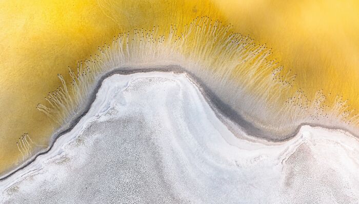 81 Pics That Turn Familiar Terrain Surreal From The Natural Landscape Photography Awards 2026 81 Pics That Turn Familiar Terrain Surreal From The Natural Landscape Photography Awards 2026