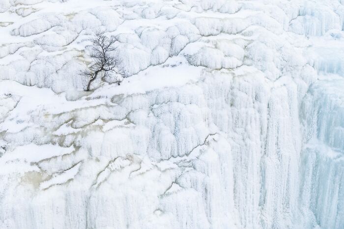 81 Pics That Turn Familiar Terrain Surreal From The Natural Landscape Photography Awards 2026 81 Pics That Turn Familiar Terrain Surreal From The Natural Landscape Photography Awards 2026