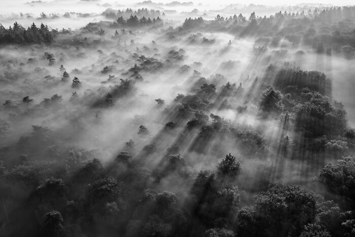 81 Pics That Turn Familiar Terrain Surreal From The Natural Landscape Photography Awards 2026 81 Pics That Turn Familiar Terrain Surreal From The Natural Landscape Photography Awards 2026