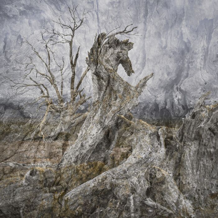 81 Pics That Turn Familiar Terrain Surreal From The Natural Landscape Photography Awards 2026 81 Pics That Turn Familiar Terrain Surreal From The Natural Landscape Photography Awards 2026