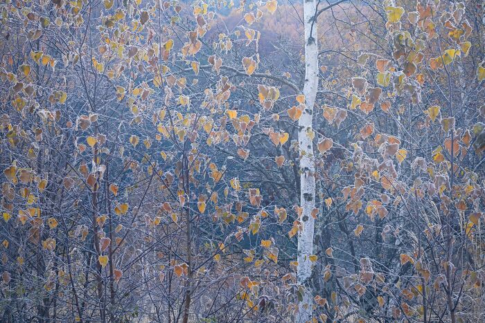 81 Pics That Turn Familiar Terrain Surreal From The Natural Landscape Photography Awards 2026 81 Pics That Turn Familiar Terrain Surreal From The Natural Landscape Photography Awards 2026