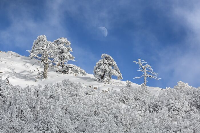 81 Pics That Turn Familiar Terrain Surreal From The Natural Landscape Photography Awards 2026 81 Pics That Turn Familiar Terrain Surreal From The Natural Landscape Photography Awards 2026