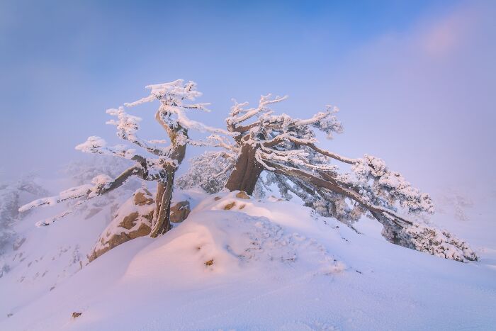 81 Pics That Turn Familiar Terrain Surreal From The Natural Landscape Photography Awards 2026 81 Pics That Turn Familiar Terrain Surreal From The Natural Landscape Photography Awards 2026