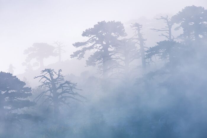 81 Pics That Turn Familiar Terrain Surreal From The Natural Landscape Photography Awards 2026 81 Pics That Turn Familiar Terrain Surreal From The Natural Landscape Photography Awards 2026