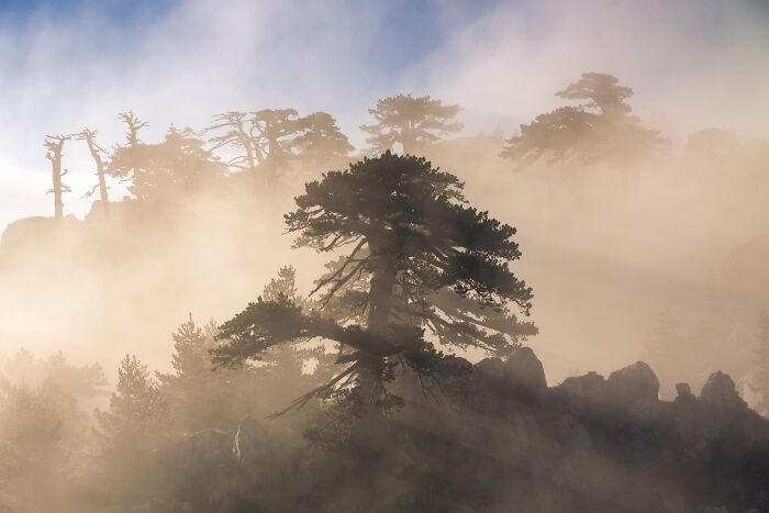 81 Pics That Turn Familiar Terrain Surreal From The Natural Landscape Photography Awards 2026 81 Pics That Turn Familiar Terrain Surreal From The Natural Landscape Photography Awards 2026