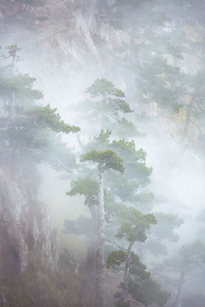 81 Pics That Turn Familiar Terrain Surreal From The Natural Landscape Photography Awards 2026 81 Pics That Turn Familiar Terrain Surreal From The Natural Landscape Photography Awards 2026