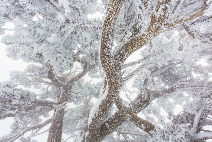 81 Pics That Turn Familiar Terrain Surreal From The Natural Landscape Photography Awards 2026 81 Pics That Turn Familiar Terrain Surreal From The Natural Landscape Photography Awards 2026