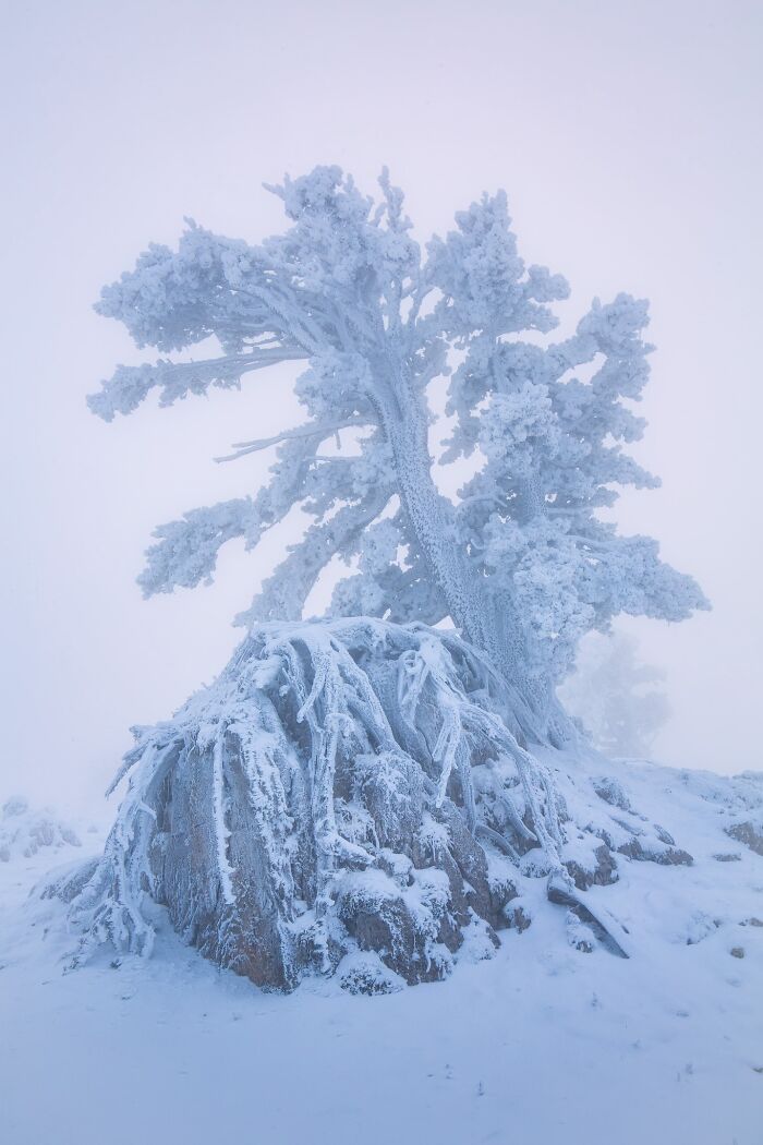 81 Pics That Turn Familiar Terrain Surreal From The Natural Landscape Photography Awards 2026 81 Pics That Turn Familiar Terrain Surreal From The Natural Landscape Photography Awards 2026
