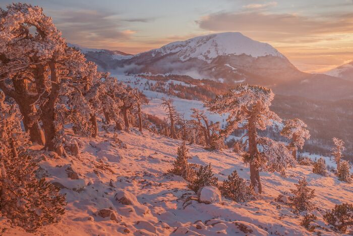 81 Pics That Turn Familiar Terrain Surreal From The Natural Landscape Photography Awards 2026 81 Pics That Turn Familiar Terrain Surreal From The Natural Landscape Photography Awards 2026