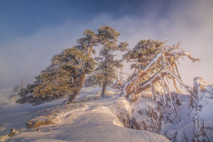 81 Pics That Turn Familiar Terrain Surreal From The Natural Landscape Photography Awards 2026 81 Pics That Turn Familiar Terrain Surreal From The Natural Landscape Photography Awards 2026