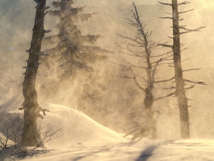 81 Pics That Turn Familiar Terrain Surreal From The Natural Landscape Photography Awards 2026 81 Pics That Turn Familiar Terrain Surreal From The Natural Landscape Photography Awards 2026