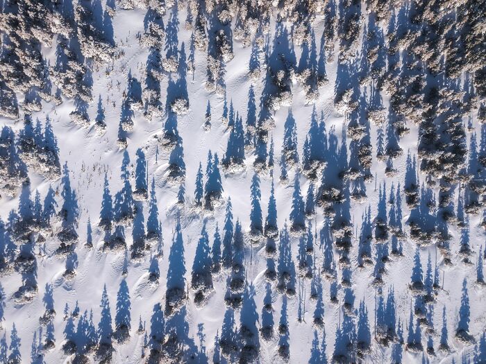 81 Pics That Turn Familiar Terrain Surreal From The Natural Landscape Photography Awards 2026 81 Pics That Turn Familiar Terrain Surreal From The Natural Landscape Photography Awards 2026