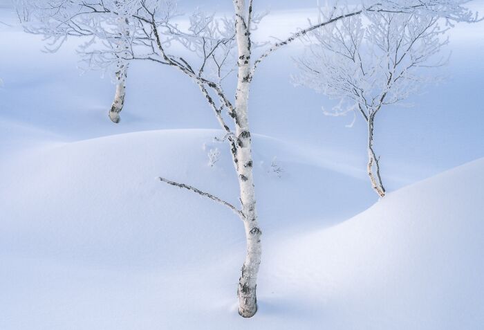 81 Pics That Turn Familiar Terrain Surreal From The Natural Landscape Photography Awards 2026 81 Pics That Turn Familiar Terrain Surreal From The Natural Landscape Photography Awards 2026