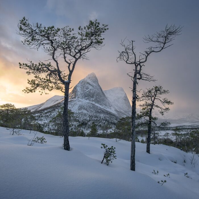 81 Pics That Turn Familiar Terrain Surreal From The Natural Landscape Photography Awards 2026 81 Pics That Turn Familiar Terrain Surreal From The Natural Landscape Photography Awards 2026