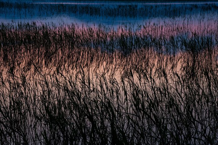 81 Pics That Turn Familiar Terrain Surreal From The Natural Landscape Photography Awards 2026 81 Pics That Turn Familiar Terrain Surreal From The Natural Landscape Photography Awards 2026