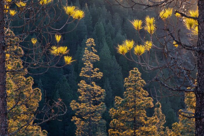 81 Pics That Turn Familiar Terrain Surreal From The Natural Landscape Photography Awards 2026 81 Pics That Turn Familiar Terrain Surreal From The Natural Landscape Photography Awards 2026