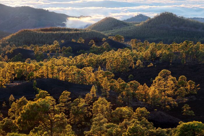 81 Pics That Turn Familiar Terrain Surreal From The Natural Landscape Photography Awards 2026 81 Pics That Turn Familiar Terrain Surreal From The Natural Landscape Photography Awards 2026