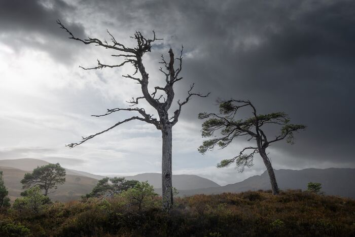 81 Pics That Turn Familiar Terrain Surreal From The Natural Landscape Photography Awards 2026 81 Pics That Turn Familiar Terrain Surreal From The Natural Landscape Photography Awards 2026