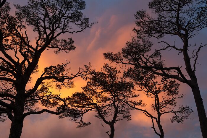 81 Pics That Turn Familiar Terrain Surreal From The Natural Landscape Photography Awards 2026 81 Pics That Turn Familiar Terrain Surreal From The Natural Landscape Photography Awards 2026