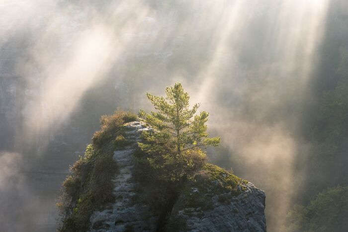 81 Pics That Turn Familiar Terrain Surreal From The Natural Landscape Photography Awards 2026 81 Pics That Turn Familiar Terrain Surreal From The Natural Landscape Photography Awards 2026