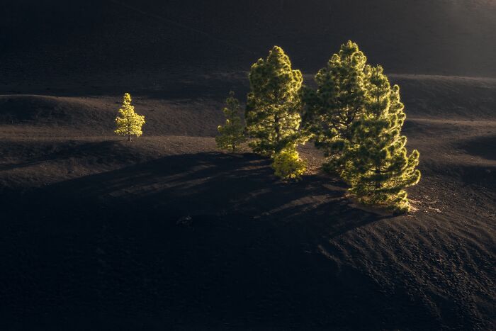 81 Pics That Turn Familiar Terrain Surreal From The Natural Landscape Photography Awards 2026 81 Pics That Turn Familiar Terrain Surreal From The Natural Landscape Photography Awards 2026