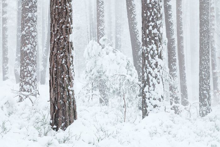 81 Pics That Turn Familiar Terrain Surreal From The Natural Landscape Photography Awards 2026 81 Pics That Turn Familiar Terrain Surreal From The Natural Landscape Photography Awards 2026