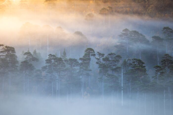 81 Pics That Turn Familiar Terrain Surreal From The Natural Landscape Photography Awards 2026 81 Pics That Turn Familiar Terrain Surreal From The Natural Landscape Photography Awards 2026