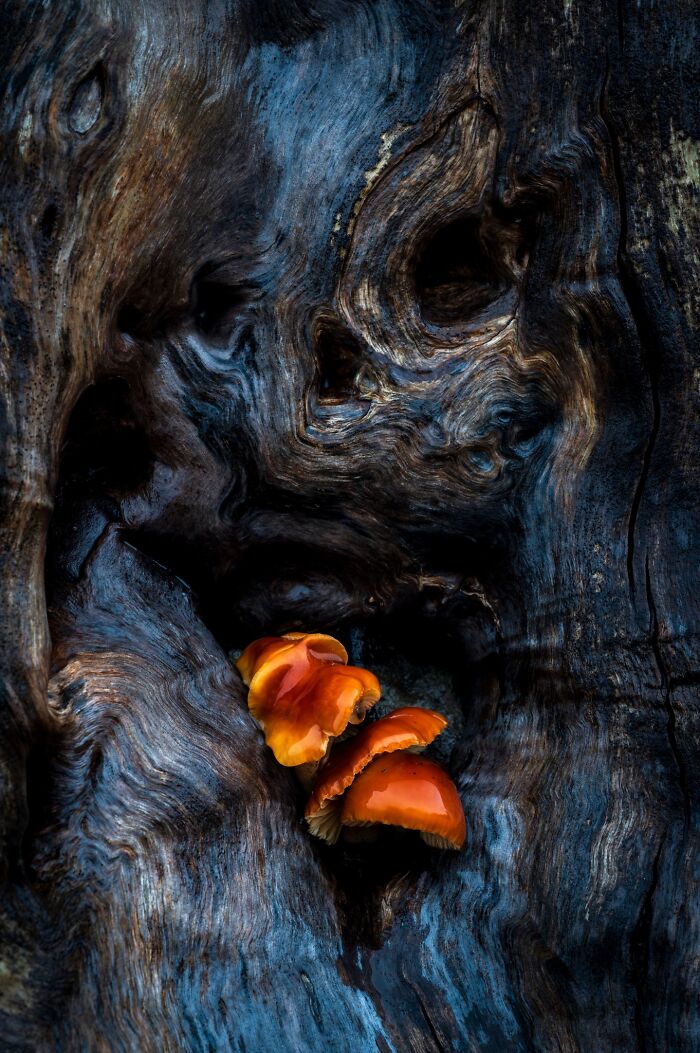 81 Pics That Turn Familiar Terrain Surreal From The Natural Landscape Photography Awards 2026 81 Pics That Turn Familiar Terrain Surreal From The Natural Landscape Photography Awards 2026