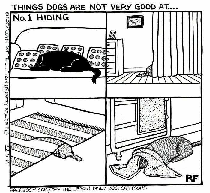 36 New &ldquo;Off The Leash&rdquo; Comics That Perfectly Capture Life With Dogs