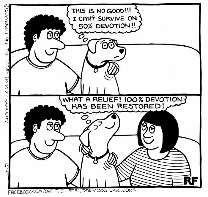36 New &ldquo;Off The Leash&rdquo; Comics That Perfectly Capture Life With Dogs