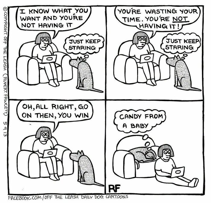 36 New &ldquo;Off The Leash&rdquo; Comics That Perfectly Capture Life With Dogs