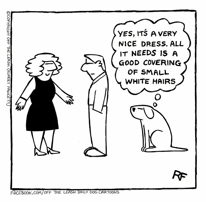 36 New &ldquo;Off The Leash&rdquo; Comics That Perfectly Capture Life With Dogs