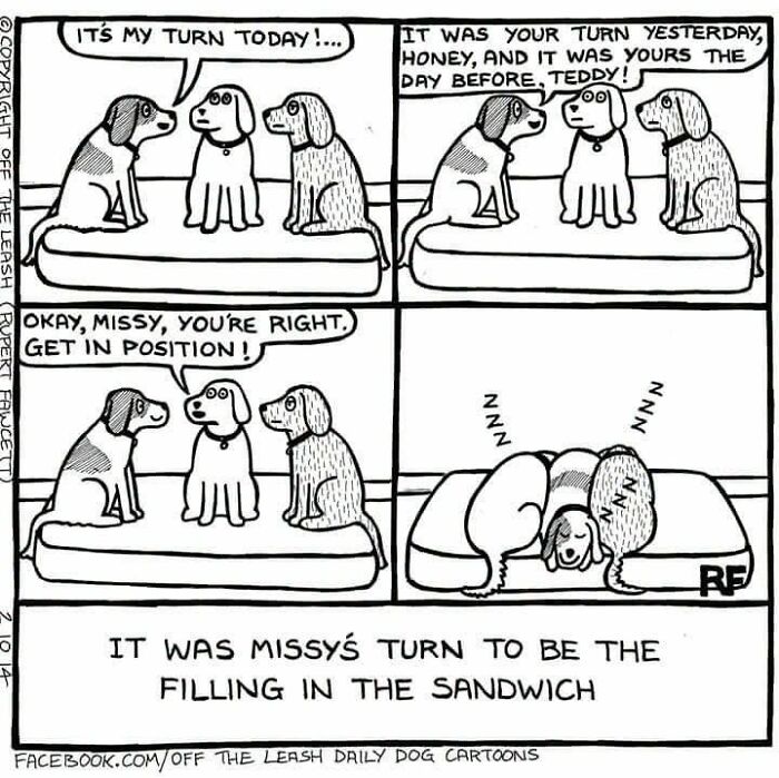 36 New &ldquo;Off The Leash&rdquo; Comics That Perfectly Capture Life With Dogs