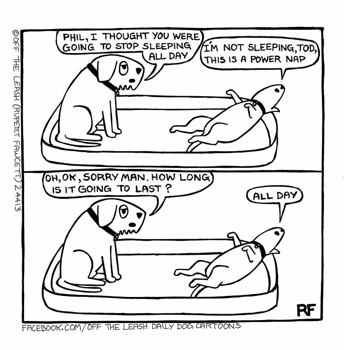 36 New &ldquo;Off The Leash&rdquo; Comics That Perfectly Capture Life With Dogs