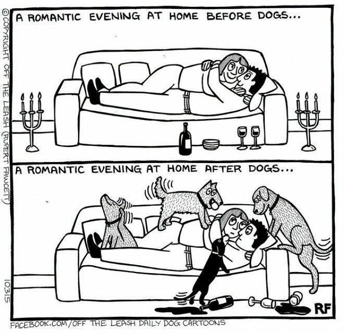 36 New &ldquo;Off The Leash&rdquo; Comics That Perfectly Capture Life With Dogs