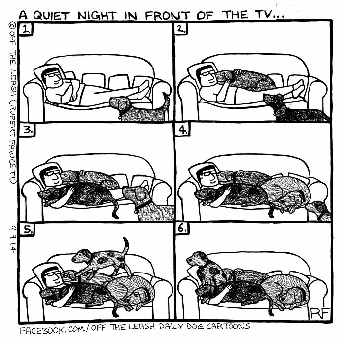36 New &ldquo;Off The Leash&rdquo; Comics That Perfectly Capture Life With Dogs