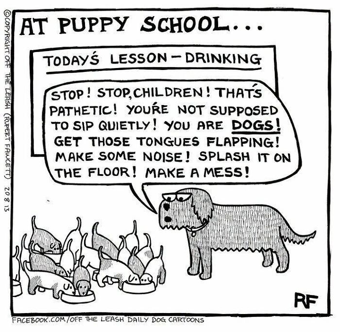36 New &ldquo;Off The Leash&rdquo; Comics That Perfectly Capture Life With Dogs