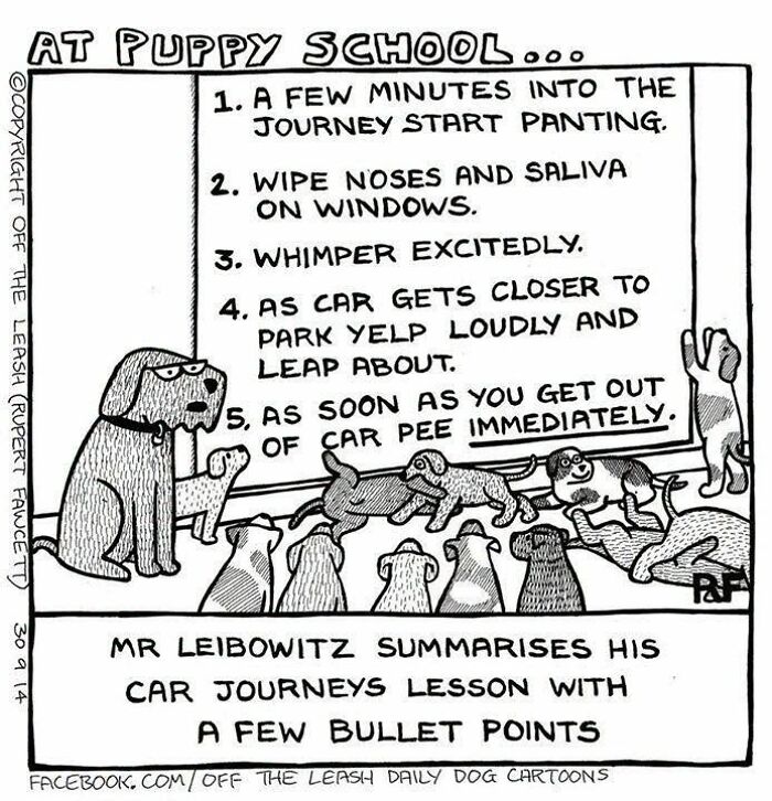 36 New &ldquo;Off The Leash&rdquo; Comics That Perfectly Capture Life With Dogs