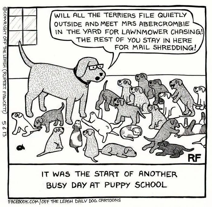 36 New &ldquo;Off The Leash&rdquo; Comics That Perfectly Capture Life With Dogs
