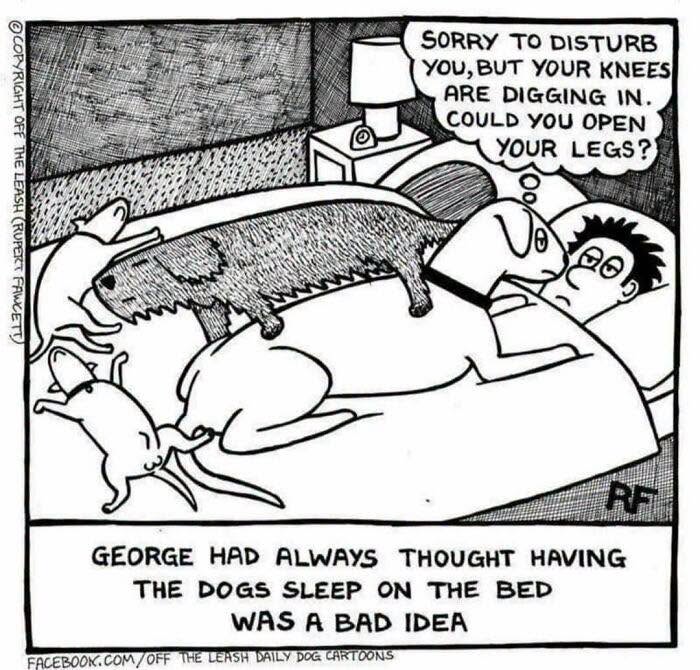 36 New &ldquo;Off The Leash&rdquo; Comics That Perfectly Capture Life With Dogs
